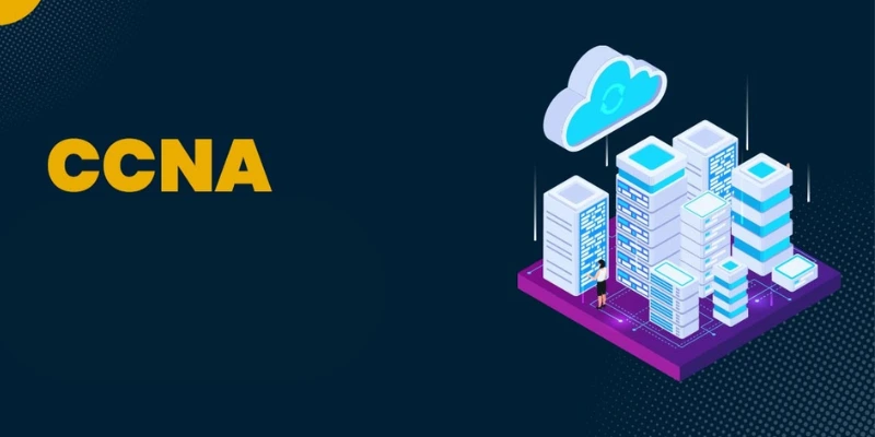 The-Role-of-CCNA-Routing-and-Switching-in-Modern-Networks